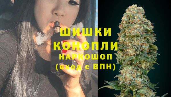марки lsd Пересвет