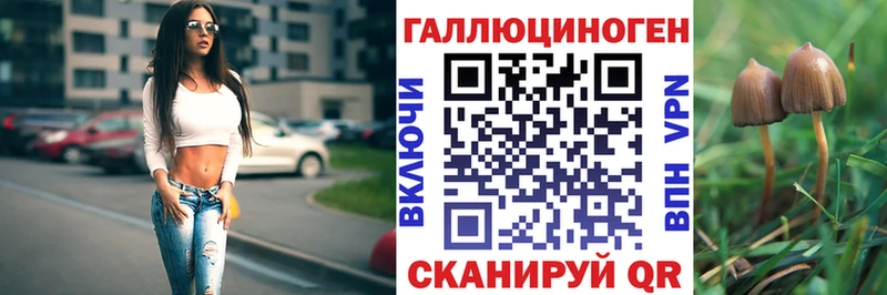 Псилоцибиновые грибы Psilocybe Похвистнево