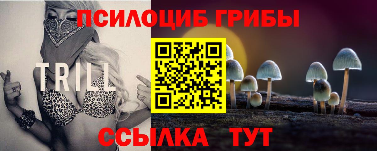 Псилоцибиновые грибы Psilocybine cubensis  Вход с VPN  наркота  Похвистнево 